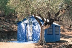 Xeni Camp & Bungalows_accommodation_in_Room_Peloponesse_Argolida_Nafplio