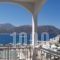 Roses Studios_accommodation_in_Hotel_Dodekanessos Islands_Karpathos_Karpathos Chora