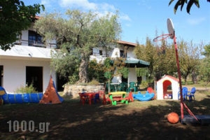 Doreta Studios_best prices_in_Hotel_Aegean Islands_Thasos_Thasos Chora