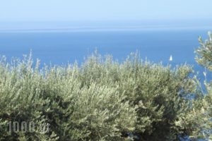 Il Veliero_travel_packages_in_Ionian Islands_Kefalonia_Kefalonia'st Areas
