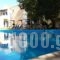 Apollo Beach_accommodation_in_Apartment_Central Greece_Fokida_Marathias