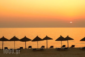 Hotel Kamari Beach_best deals_Hotel_Aegean Islands_Thasos_Thasos Chora
