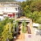 Pegasos_accommodation_in_Hotel_Ionian Islands_Lefkada_Nikiana