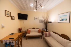 Sofia_best prices_in_Apartment_Ionian Islands_Lefkada_Nikiana