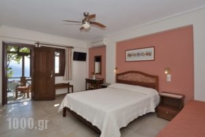 Diplomats' Holidays_lowest prices_in_Apartment_Thessaly_Magnesia_Chorto