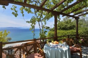 Diplomats' Holidays_best prices_in_Apartment_Thessaly_Magnesia_Chorto