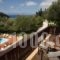 Evridiki's Villas_accommodation_in_Villa_Ionian Islands_Lefkada_Agios Ninitas