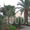 Bay View Apartments_accommodation_in_Apartment_Crete_Lasithi_Makrys Gialos