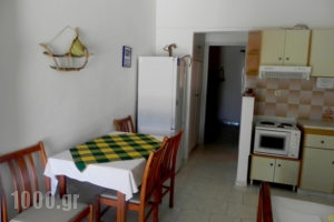 Perasma Studios_best prices_in_Apartment_Cyclades Islands_Andros_Andros Rest Areas