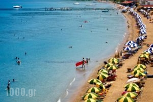 Hotel Roulis_best prices_in_Hotel_Ionian Islands_Corfu_Corfu Rest Areas
