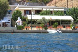 Studios Alexandra_holidays_in_Hotel_Sporades Islands_Skopelos_Skopelos Chora