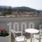 Blue Paradise Studios_best prices_in_Apartment_Ionian Islands_Kefalonia_Argostoli
