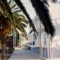 Blue Paradise Studios_holidays_in_Apartment_Ionian Islands_Kefalonia_Argostoli