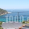 Sea View_best deals_Apartment_Sporades Islands_Skopelos_Skopelos Chora