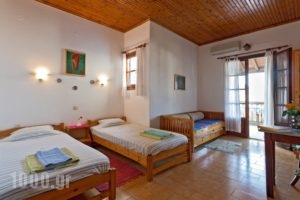 Del Sol Takis - Sophie_best prices_in_Apartment_Sporades Islands_Skopelos_Skopelos Chora
