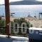 Studio Bilios_best deals_Hotel_Aegean Islands_Ikaria_Ikaria Chora