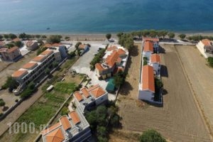 Sappho & Neraida_accommodation_in_Apartment_Aegean Islands_Lesvos_Vatera