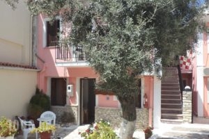 Irgo Studios_accommodation_in_Hotel_Aegean Islands_Samos_Pythagorio