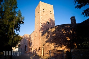 Arapakis Historic Castle_accommodation_in_Room_Peloponesse_Lakonia_Diros