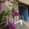 Domenica Apartments_best deals_Apartment_Crete_Rethymnon_Rethymnon City