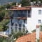 Sea View_lowest prices_in_Apartment_Sporades Islands_Skopelos_Skopelos Chora