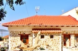 Studios Elina in Thasos Rest Areas, Thasos, Aegean Islands