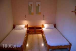 Lilo's Apartments_best prices_in_Room_Dodekanessos Islands_Astipalea_Livadia