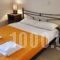 Argo Apartments_best prices_in_Apartment_Ionian Islands_Lefkada_Lefkada Rest Areas