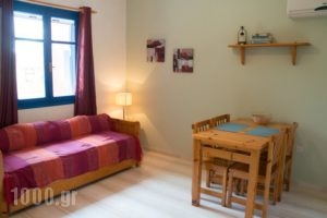 Lilo's Apartments_accommodation_in_Room_Dodekanessos Islands_Astipalea_Livadia