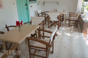 Lilo's Apartments_holidays_in_Room_Dodekanessos Islands_Astipalea_Livadia