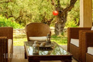 Nina Residence_holidays_in_Room_Ionian Islands_Zakinthos_Kypseli