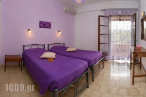 River Studios_best prices_in_Apartment_Ionian Islands_Corfu_Palaeokastritsa