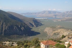 Olympic Hotel_lowest prices_in_Hotel_Central Greece_Fokida_Delfi