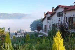 Nefeli Guesthouses_best prices_in_Hotel_Peloponesse_Achaia_Kalavryta