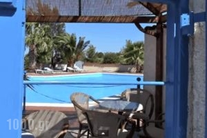 Orama Hotel_best prices_in_Hotel_Aegean Islands_Lesvos_Eressos