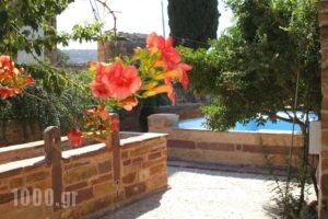 Fani Rooms_holidays_in_Room_Aegean Islands_Chios_Chios Rest Areas