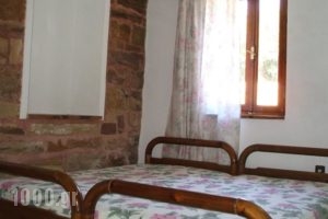 Fani Rooms_lowest prices_in_Room_Aegean Islands_Chios_Chios Rest Areas