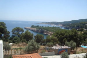 Pension Dimitra_best prices_in_Hotel_Sporades Islands_Skopelos_Skopelos Chora