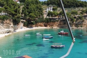 Pension Dimitris_lowest prices_in_Hotel_Sporades Islands_Alonnisos_Alonissosora