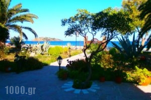 Studios Stefani_best deals_Hotel_Aegean Islands_Lesvos_Petra