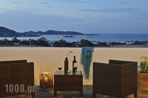 Blue Mare Villas_holidays_in_Villa_Cyclades Islands_Paros_Paros Chora