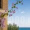 Calypso Studios_holidays_in_Hotel_Ionian Islands_Zakinthos_Zakinthos Rest Areas