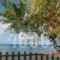 Calypso Studios_best deals_Hotel_Ionian Islands_Zakinthos_Zakinthos Rest Areas