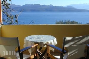 Sofia ApartHotel_accommodation_in_Hotel_Ionian Islands_Lefkada_Lefkada Rest Areas