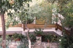 Pension Dryoussa in Athens, Attica, Central Greece