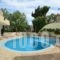 Kaloudis Apartments_best prices_in_Apartment_Crete_Chania_Sfakia
