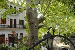 Gastronomy Hotel Kritsa_accommodation_in_Hotel_Thessaly_Magnesia_Portaria