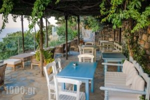 Adrakos Apartments_holidays_in_Apartment_Crete_Lasithi_Aghios Nikolaos