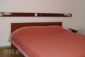 Apartments Tsiolas_lowest prices_in_Apartment_Macedonia_Kozani_Siatista