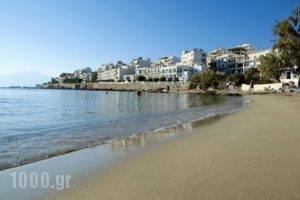 Victoria Hotel_holidays_in_Hotel_Crete_Lasithi_Ammoudara